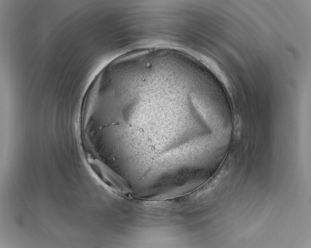 X0000112740863200909031505