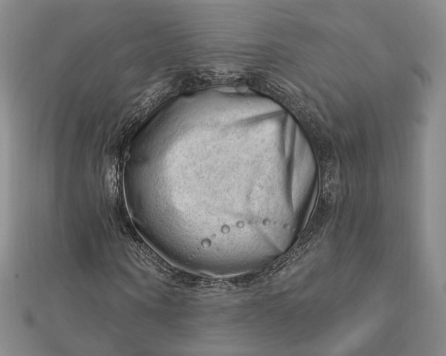 X0000112740866200909031504