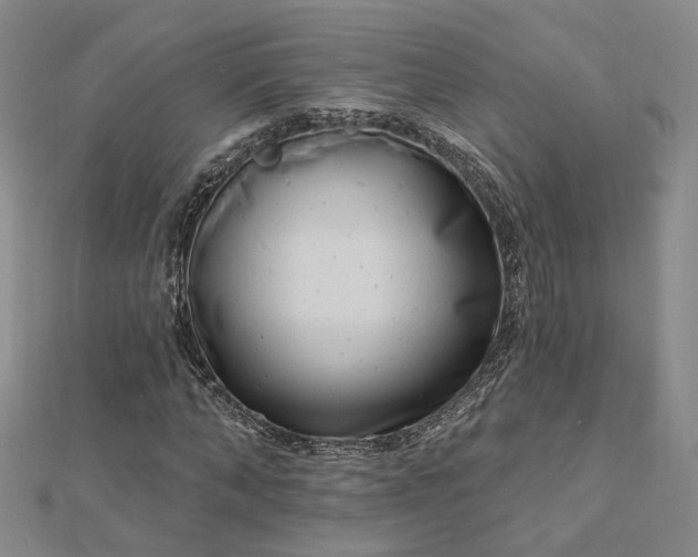 X0000112740870200909031504