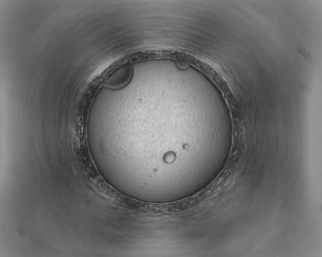 X0000112740871200909031504