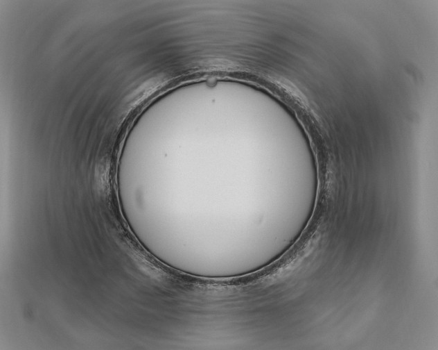 X0000112740873200909031504