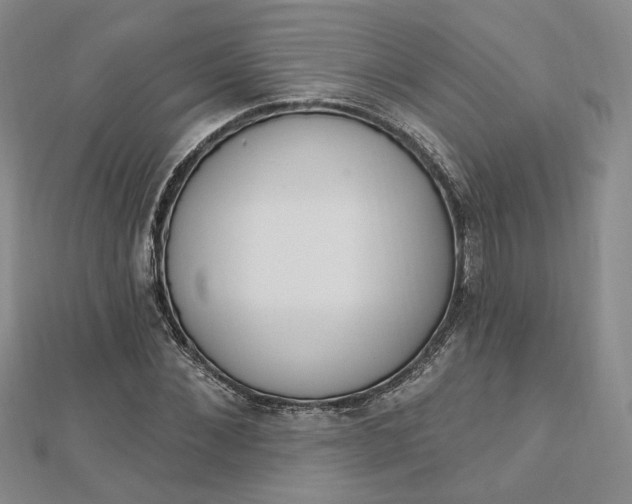 X0000112740876200909031504