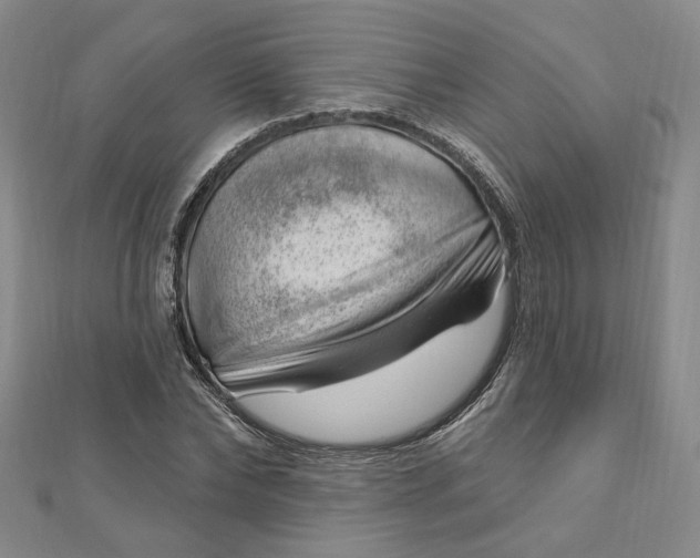 X0000112740878200909031504