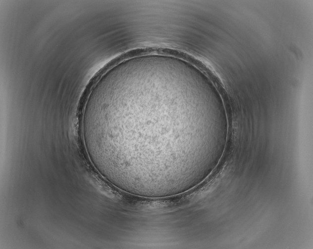 X0000112740879200909031504