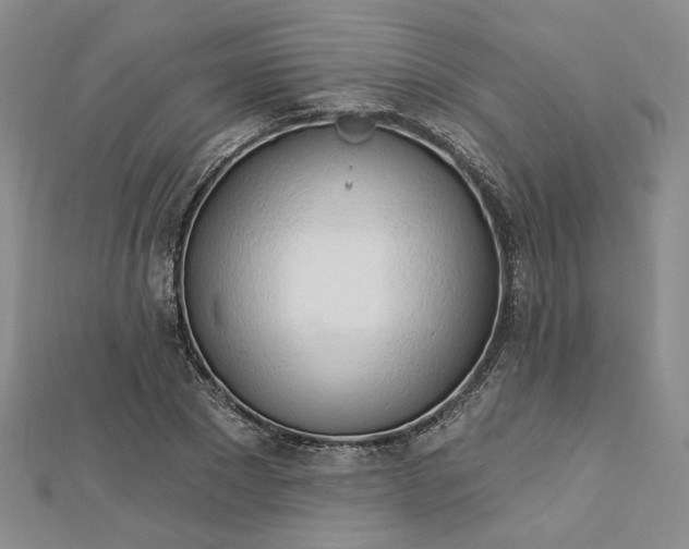 X0000112740881200909031504