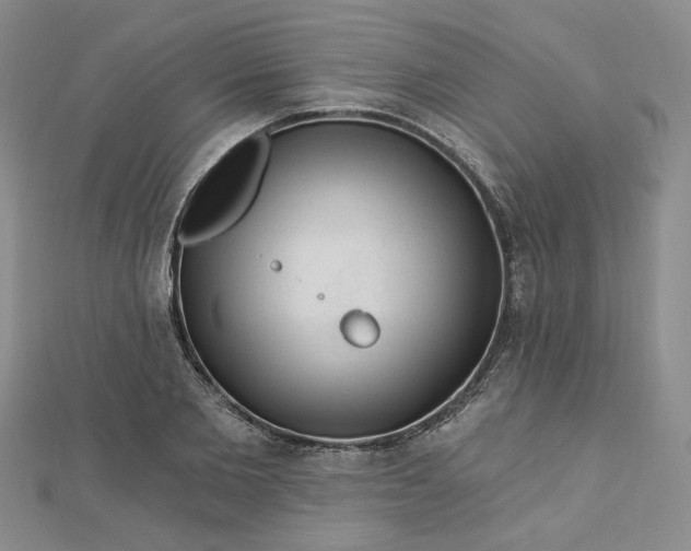 X0000112740885200909031504