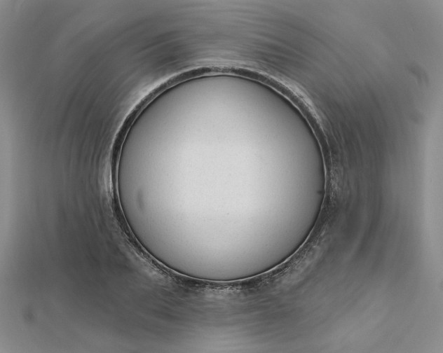 X0000112740887200909031504