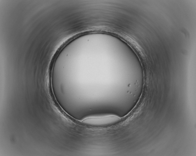 X0000112740888200909031504