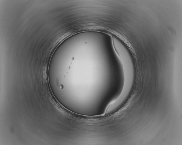 X0000112740889200909031504