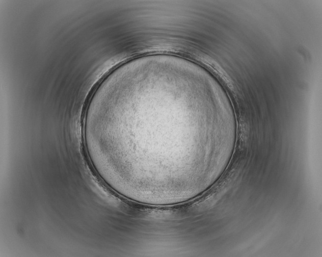 X0000112740890200909031504