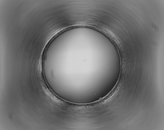 X0000112740892200909031504