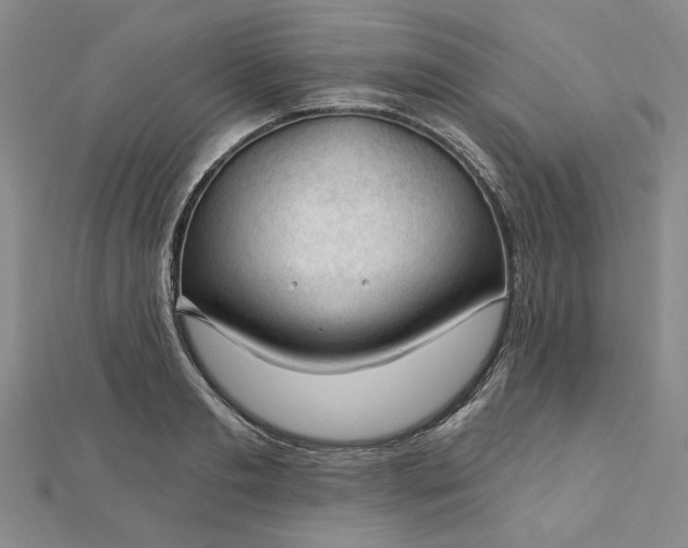 X0000112740893200909031504