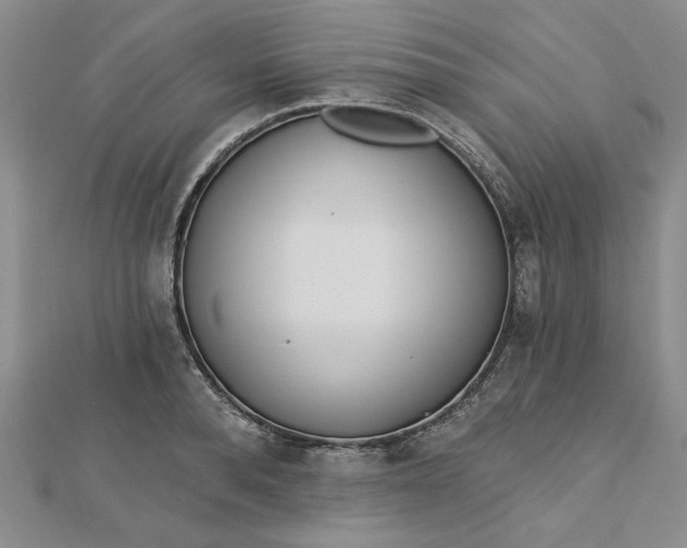 X0000112740896200909031504