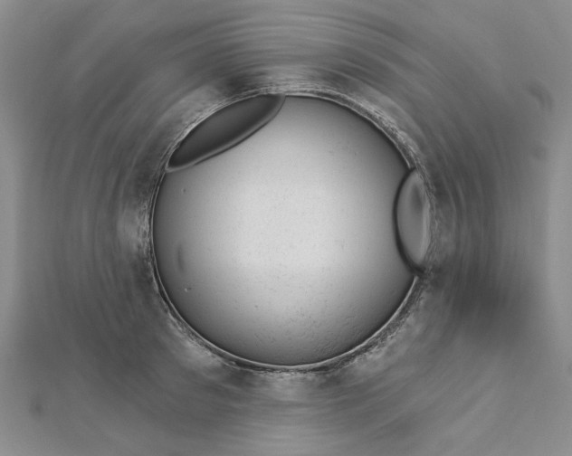 X0000112740897200909031504