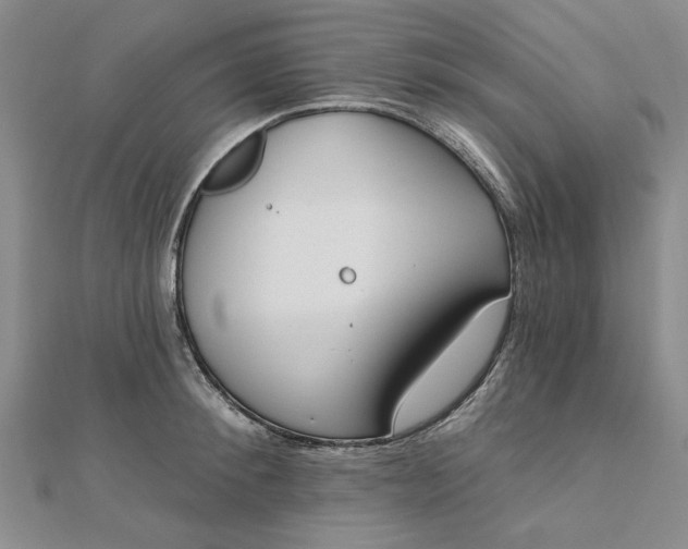 X0000112740900200909031504