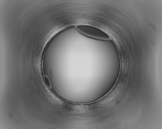 X0000112740901200909031504