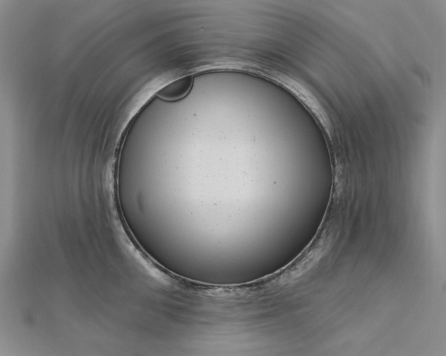 X0000112740906200909031504