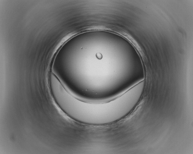 X0000112740909200909031503