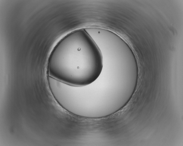 X0000112740912200909031503