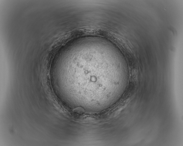 X0000112740913200909031503