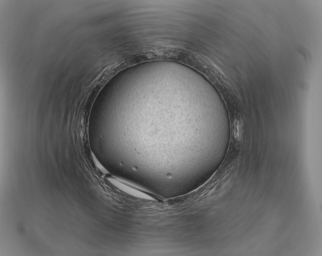 X0000112740915200909031503