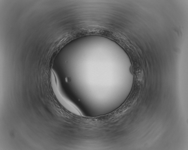 X0000112740916200909031503