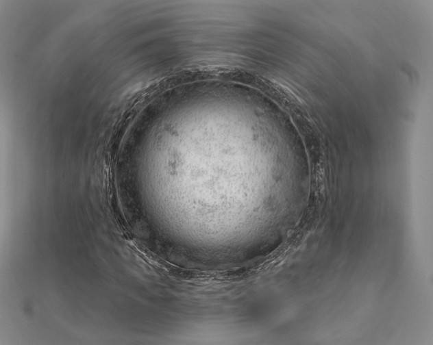 X0000112740917200909031503