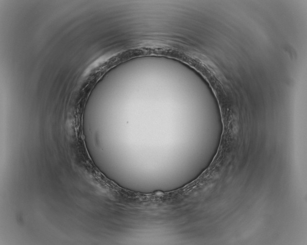 X0000112740920200909031503