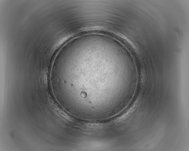 X0000112740921200909031503