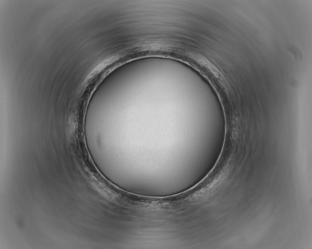 X0000112740922200909031503