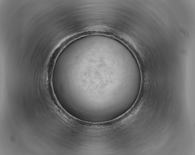 X0000112740923200909031503