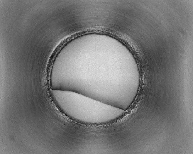 X0000112740924200909031503