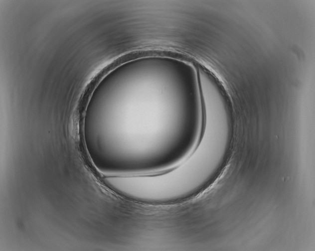 X0000112740925200909031503