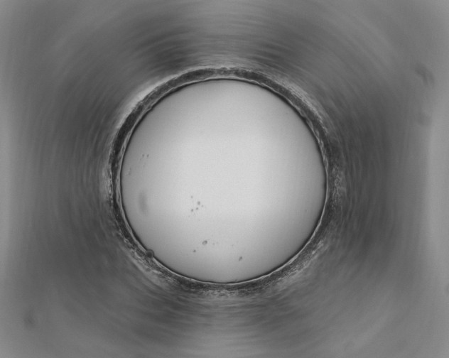 X0000112740927200909031503