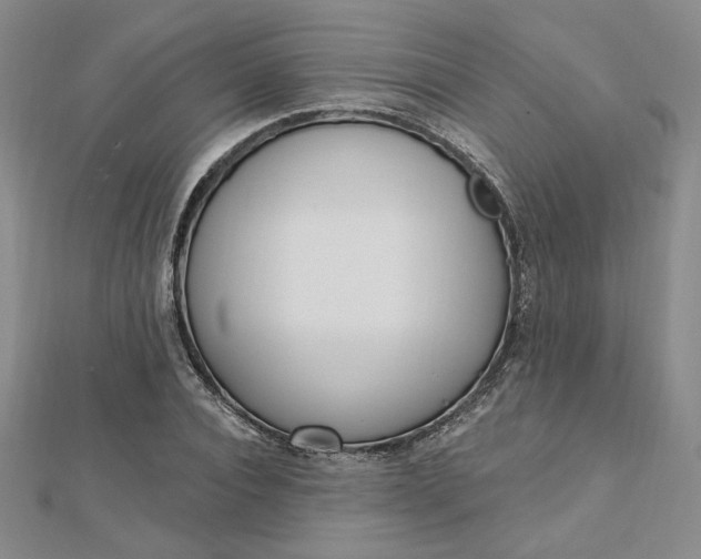 X0000112740928200909031503