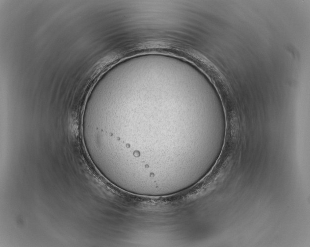 X0000112740929200909031503