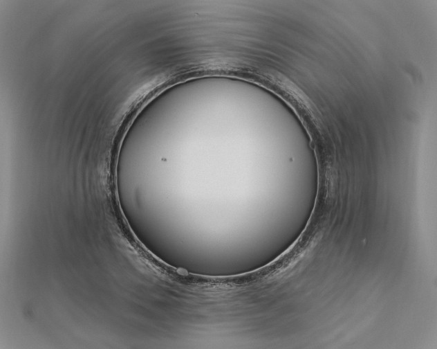 X0000112740930200909031503