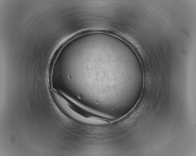 X0000112740935200909031503