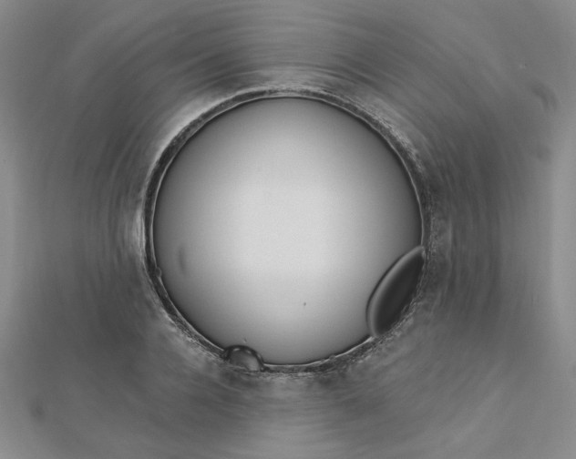 X0000112740936200909031503