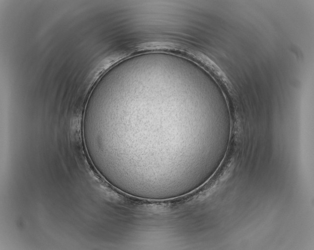 X0000112740937200909031503