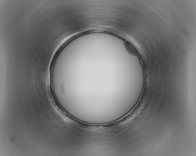 X0000112740940200909031503