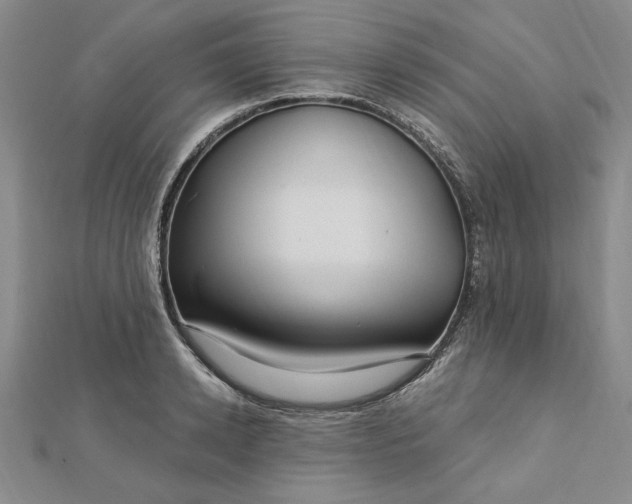 X0000112740942200909031503