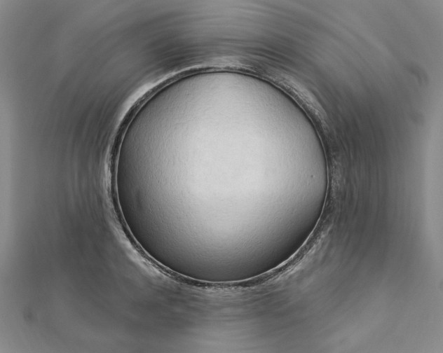 X0000112740944200909031503