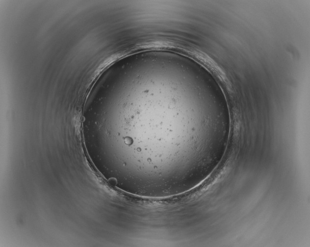 X0000112740945200909031503