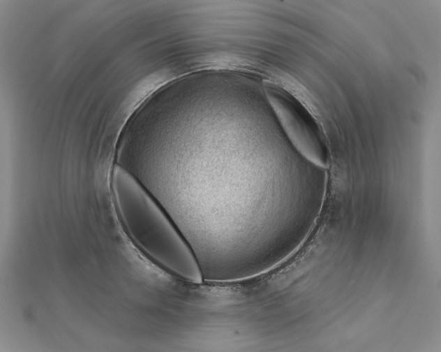 X0000112740946200909031503