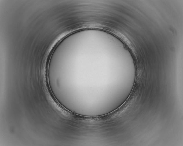 X0000112740947200909031503