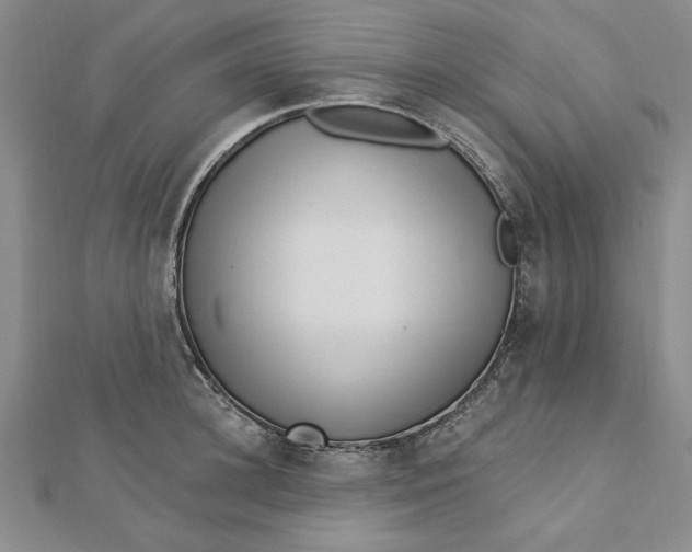 X0000112740948200909031503