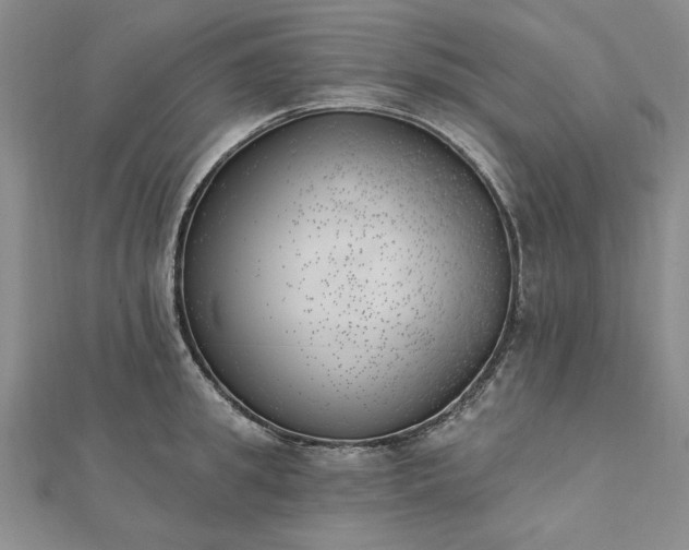 X0000112740949200909031503