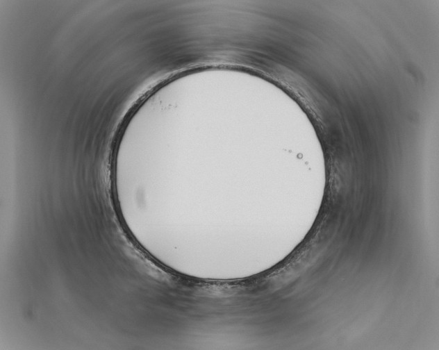 X0000112740950200909031503