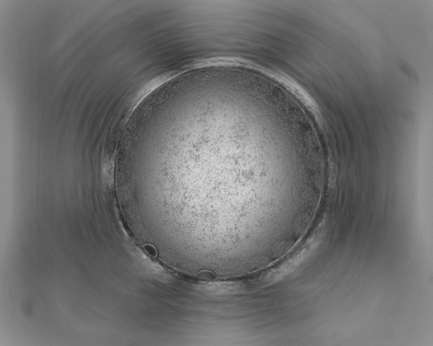 X0000112740953200909031503